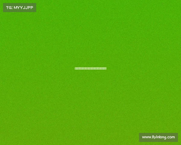 网球赛场背后的不为人知的故事与幕后英雄揭秘 网球赛场背后的不为人知的故事与幕后英雄揭秘